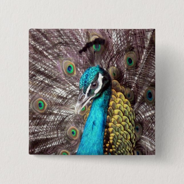 Pfau Button (Vorderseite)