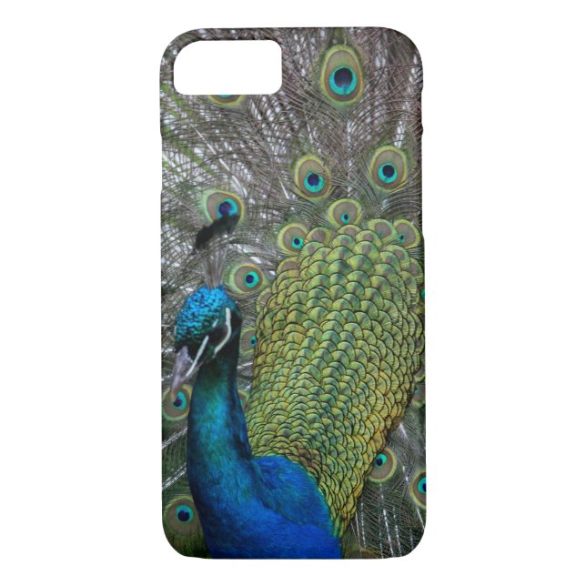 Pfau Case-Mate iPhone Hülle (Rückseite)