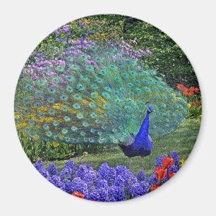 Pfau dem Magneten in der Frühlings-Blumen-#2 Magnet