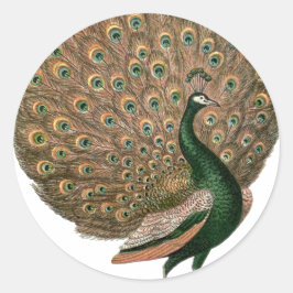 Pfau der Vintagen Kunst (Pfau) Runder Aufkleber