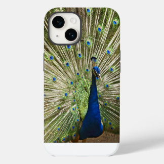 Pfau-Display iPhone 14 Hülle