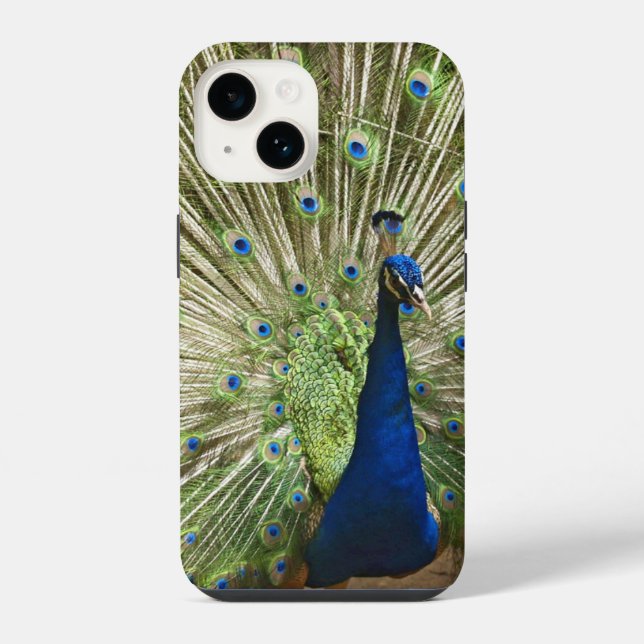 Pfau-Display iPhone 14 Hülle (Rückseite)
