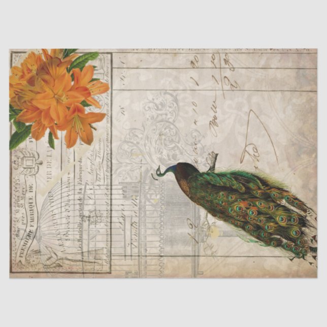 Pfau-Eintagsfliegen Decoupage Papier (Vorderseite)