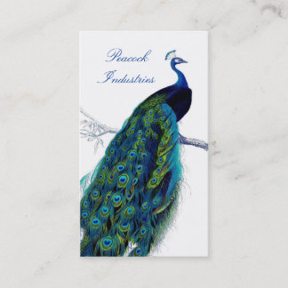 Pfau-elegante berufliche Girly Geschäfts-Karte Visitenkarte