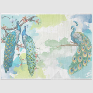 Pfau Ephemera 2 Seidenpapier