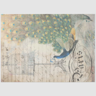Pfau Ephemere Dekoupage Paper Right Seidenpapier