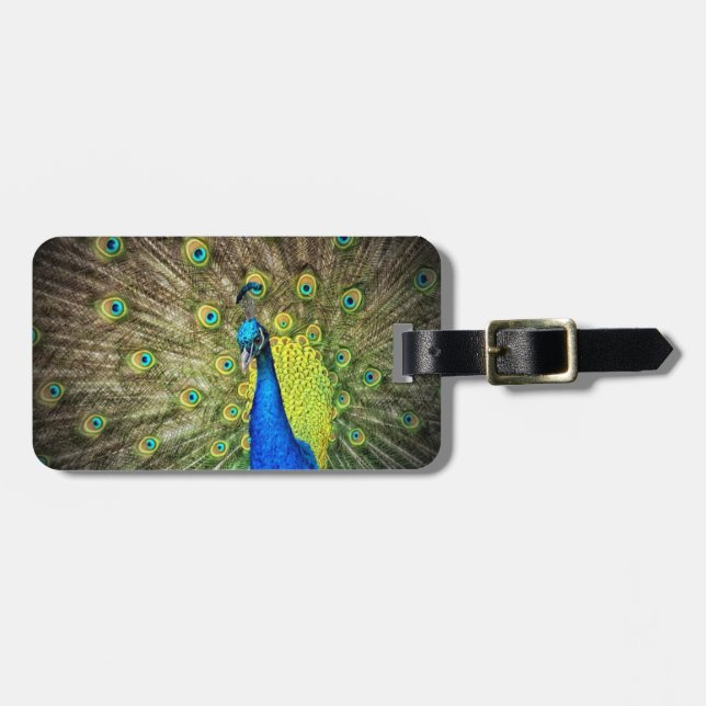 Pfau-Farbschönheit Gepäckanhänger (Vorderseite horizontal)