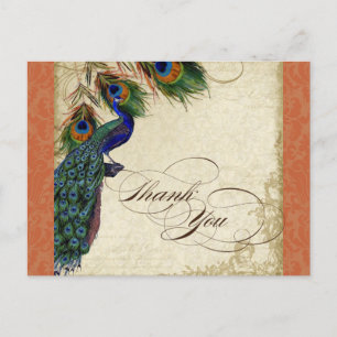 Pfau & Feather Formal Vielen Dank Hinweis Orange Postkarte