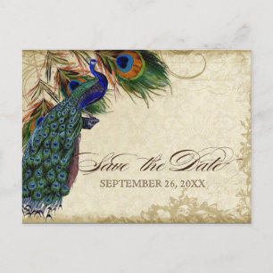 Pfau & Feathers Formal Save the Date Black Tan Ankündigungspostkarte