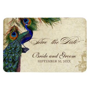 Pfau & Feathers Formal Save the Date Black Tan Magnet