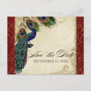 Pfau & Feathers Formal Save the Date Burgundy Ankündigungspostkarte