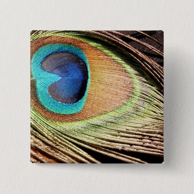 Pfau-Feder entwirft quadratisches Button (Vorderseite)