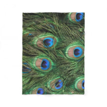 Pfau-Feder
