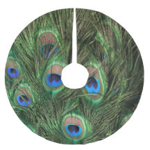 Pfau-Feder