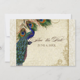 Pfau & Federn Formal Save the Date Creme Einladung