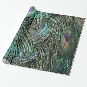 Pfau-Federn Geschenkpapier