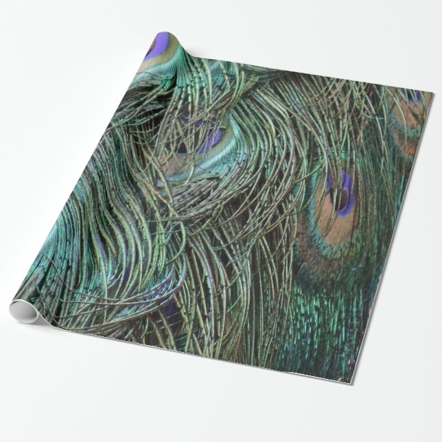 Pfau-Federn Geschenkpapier (Ungerollt)