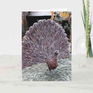 Pfau Feiertagskarte