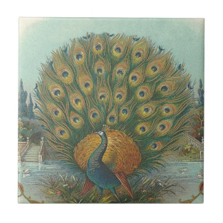 Pfau Fliese