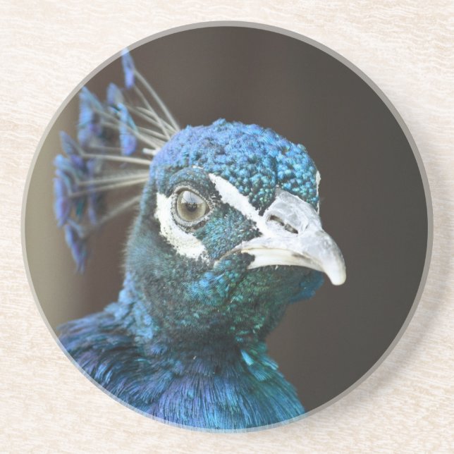 Pfau Getränkeuntersetzer (Vorne)