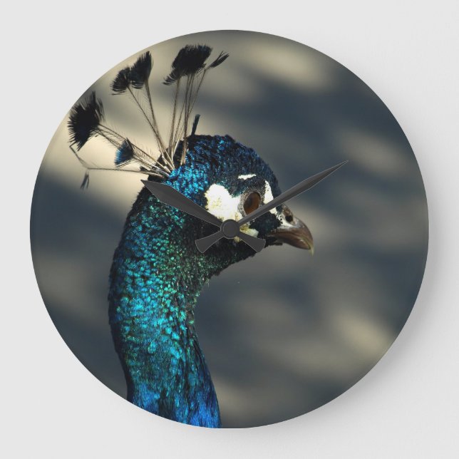 Pfau Große Wanduhr (Vorderseite)