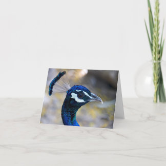 Pfau-Gruß-Karte (freier Raum nach innen) Karte
