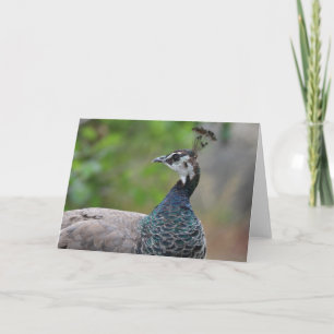 Pfau-Grußkarte Karte