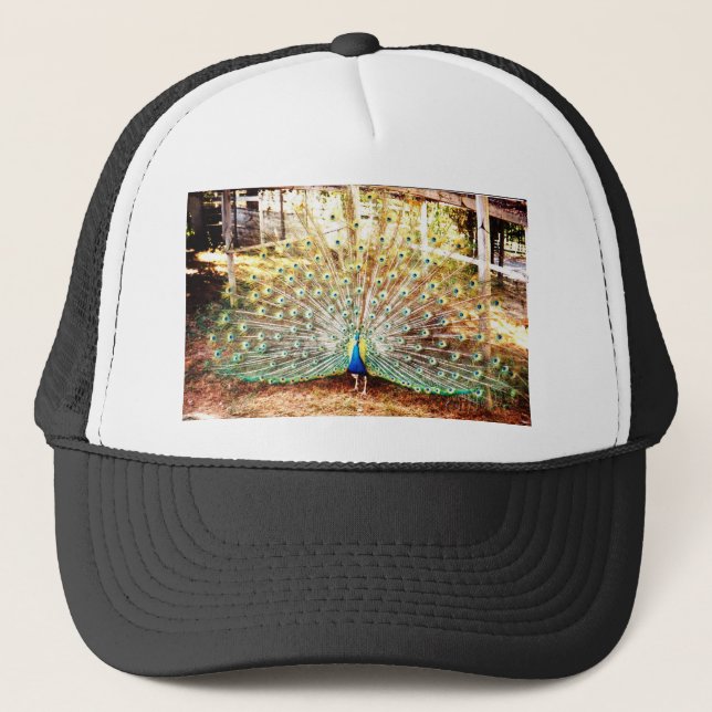 Pfau, Hat Truckerkappe (Vorderseite)