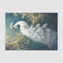 Pfau Hübsche, weiße Federkaskade