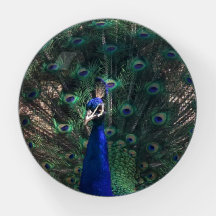Pfau Hübsches Glas Papergewichtsgeschenk für sie