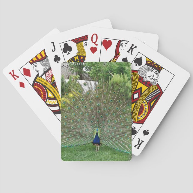 Pfau im Foto Garden Spielkarten (Rückseite)