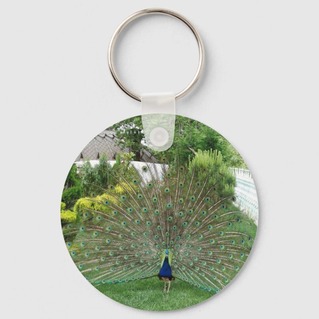 Pfau im Garten Schlüsselring Schlüsselanhänger (Vorderseite)