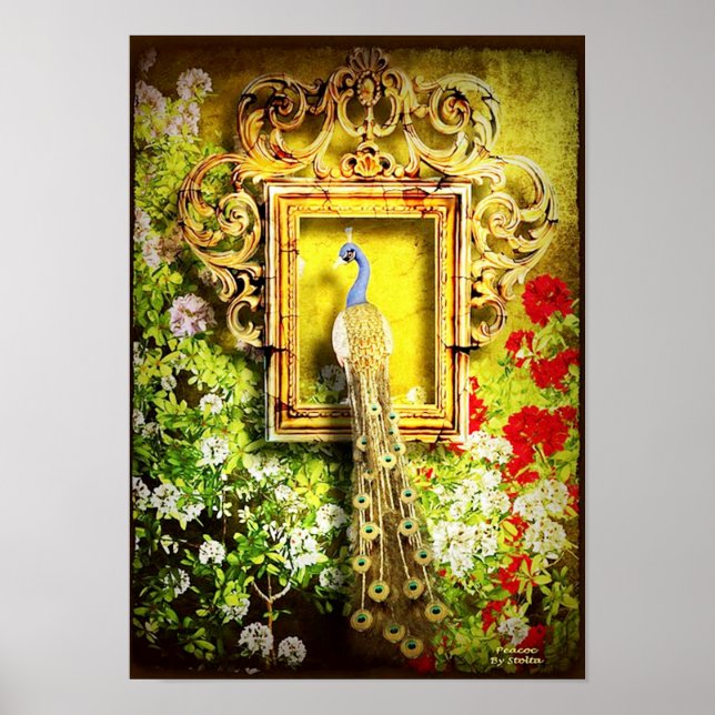 Pfau in Rahmen-Poster AB 14.95 Poster (Vorne)