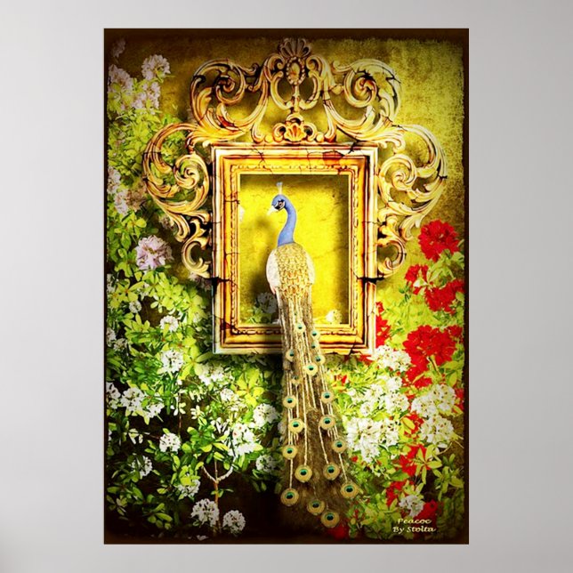 Pfau in Rahmen-Poster AB 14.95 Poster (Vorne)