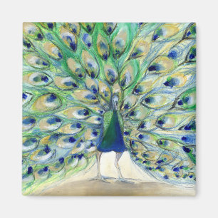 Pfau in San Diego 2013 Magnet