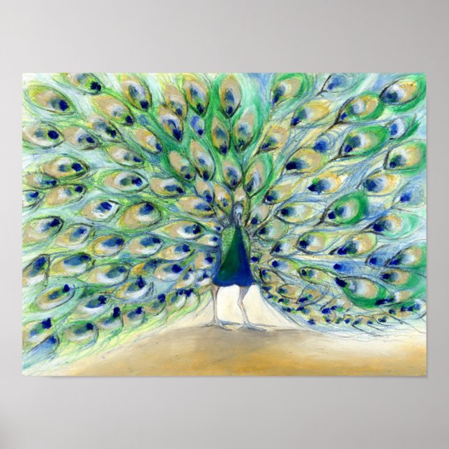 Pfau in San Diego 2013 Poster (Vorne)