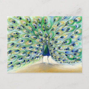 Pfau in San Diego 2013 Postkarte