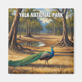 Pfau in Sri Lanka Yala National Park Travel Magnet
