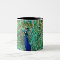 Pfau-Kaffee-Tasse