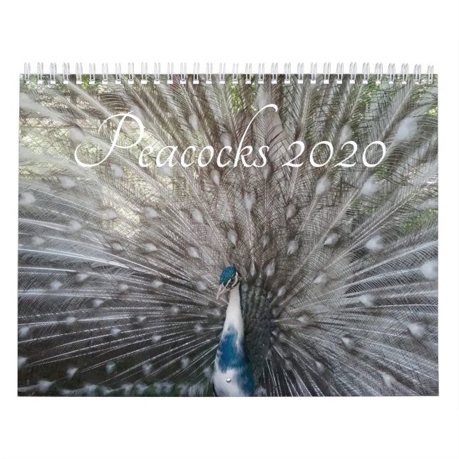 Pfau-Kalender Kalender (Titelbild)