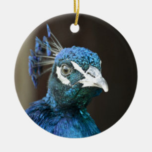 Pfau Keramikornament