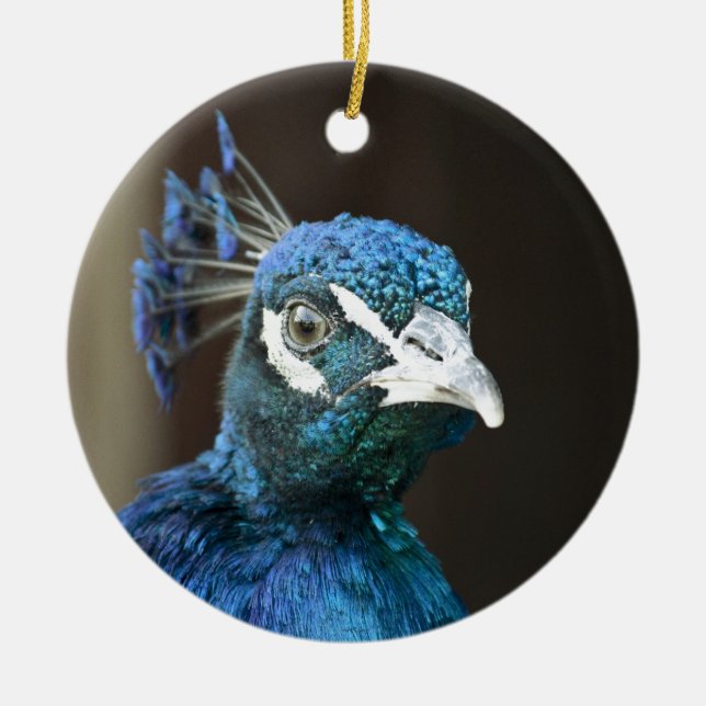 Pfau Keramikornament (Vorne)