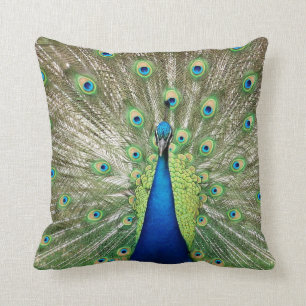 Pfau Kissen