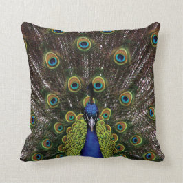 Pfau Kissen