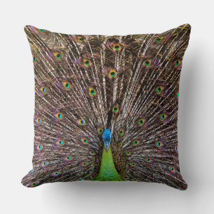Pfau Kissen
