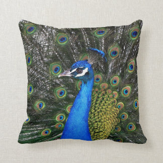 Pfau Kissen 20 x 20