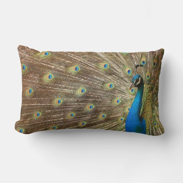 Pfau-Kissen Lendenkissen (Vorderseite)