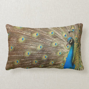 Pfau-Kissen Lendenkissen