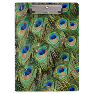 Pfau-Klemmbrett Klemmbrett