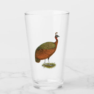 Pfau: Kongo Peahen Glas